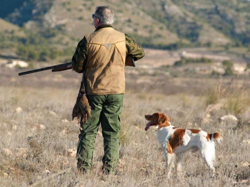 El balance de la finalizada temporada de caza en Ávila, muy negativo